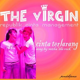 The Virgin Cover